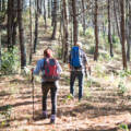 Nature in the Sierra de Huelva: A treasure to discover
