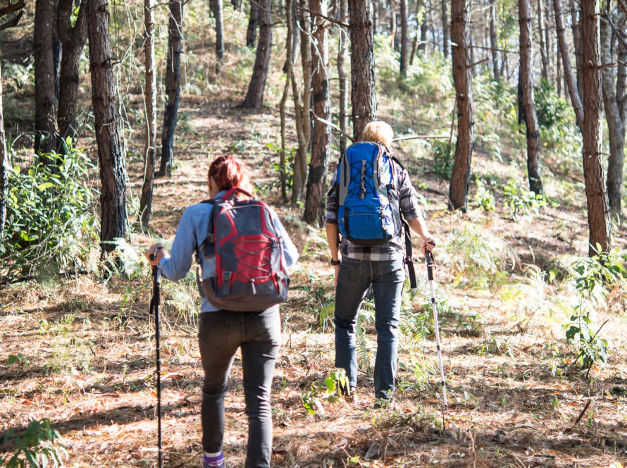 Enjoy unique surroundings, group activities, gastronomic experiences at The Cottages Spain, plan your getaway now!